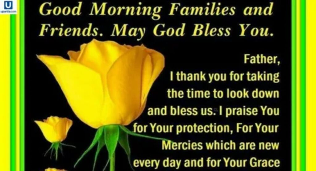 Funny, Cute & Weekend Friday Blessings