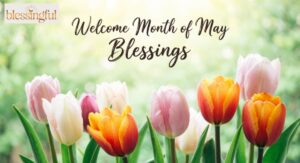 140+Welcome Month of May Blessings: Quotes, Messages, and Inspiration to Start the Month with Positivity